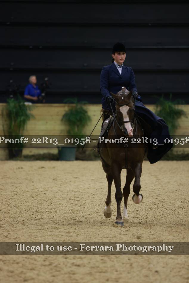 Proof 22R13_01958