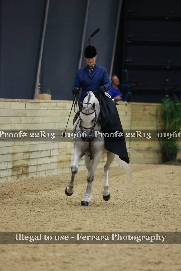 Proof 22R13_01966