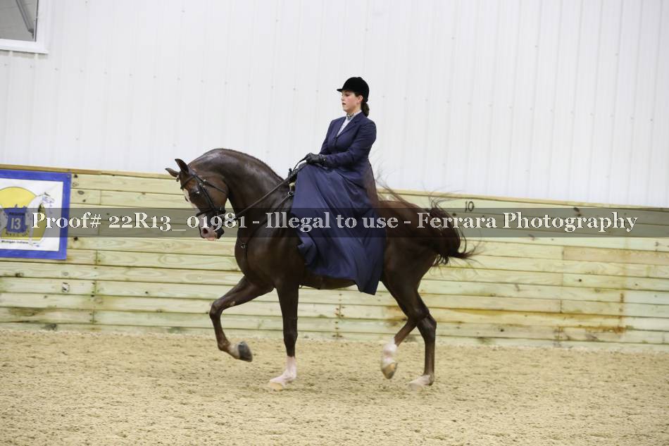 Proof 22R13_01981