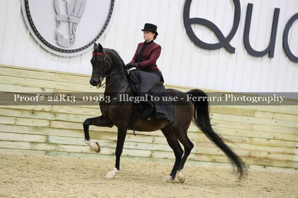 Proof 22R13_01983