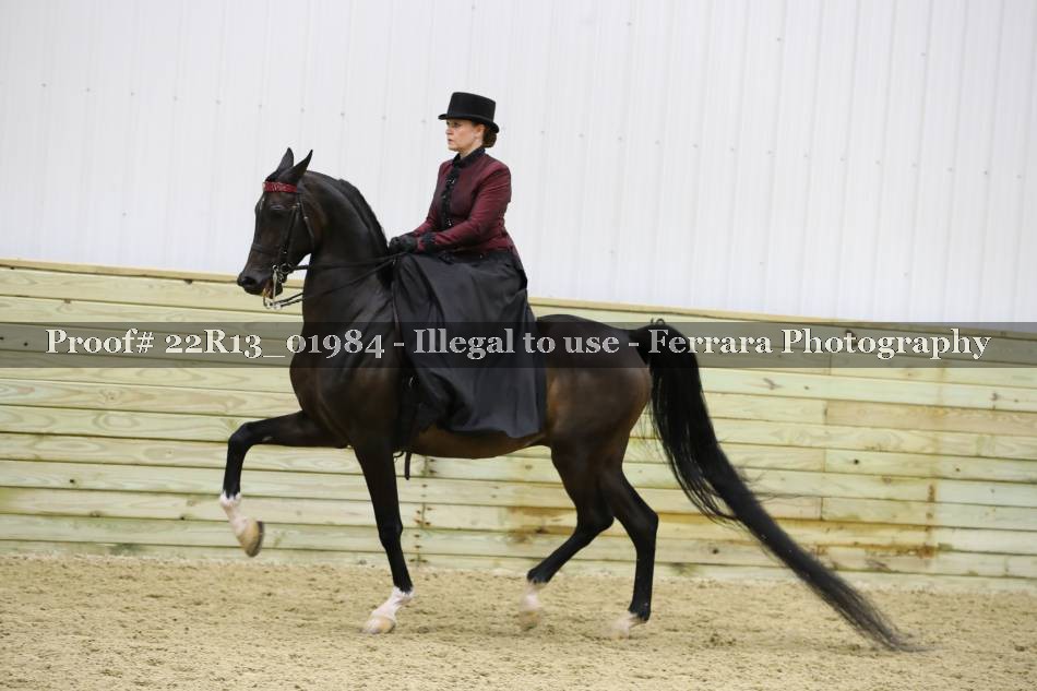 Proof 22R13_01984