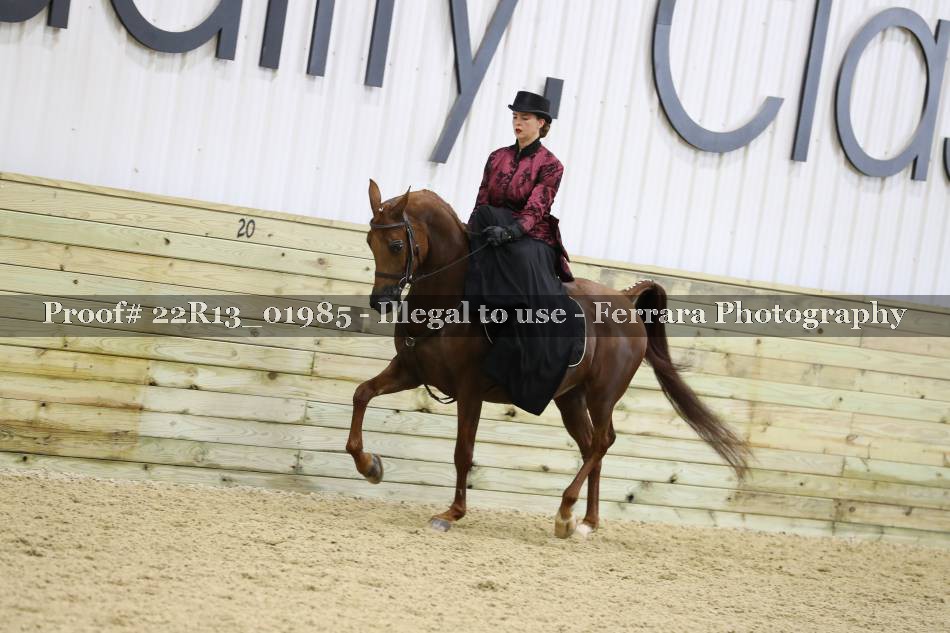 Proof 22R13_01985
