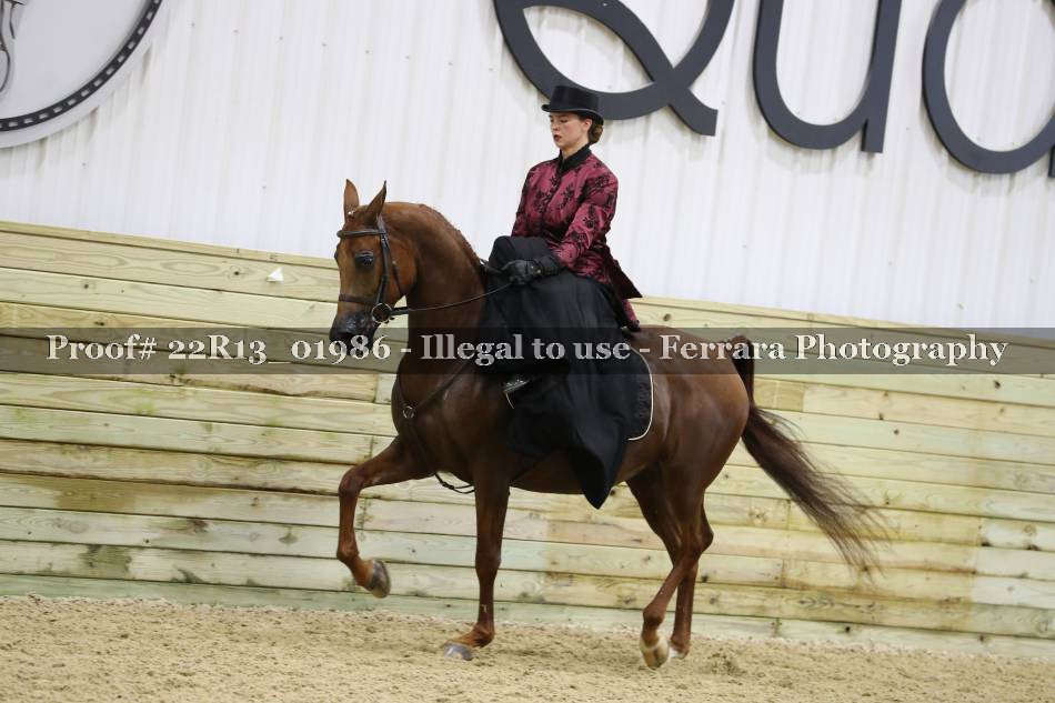 Proof 22R13_01986