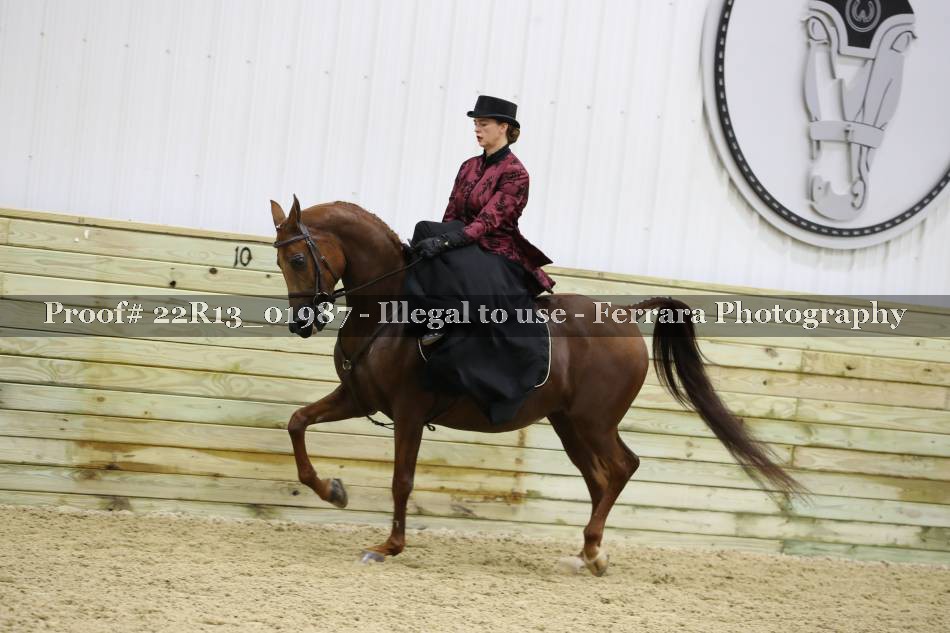 Proof 22R13_01987