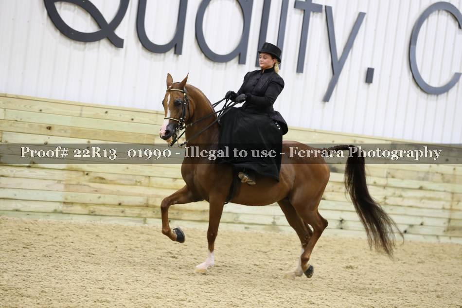 Proof 22R13_01990