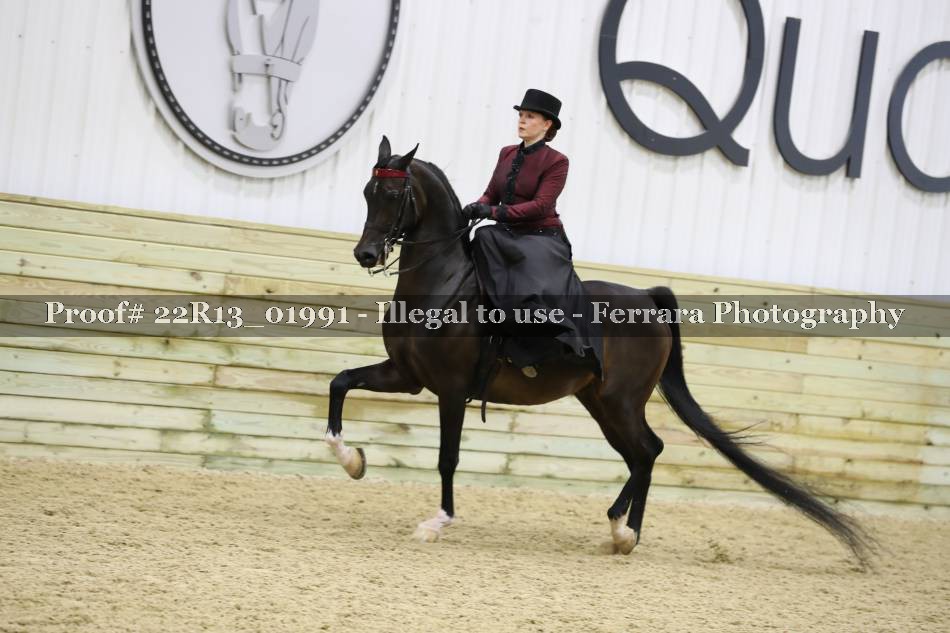 Proof 22R13_01991