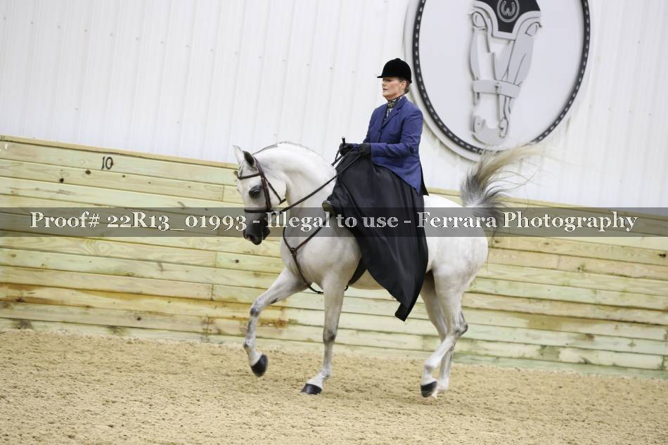 Proof 22R13_01993