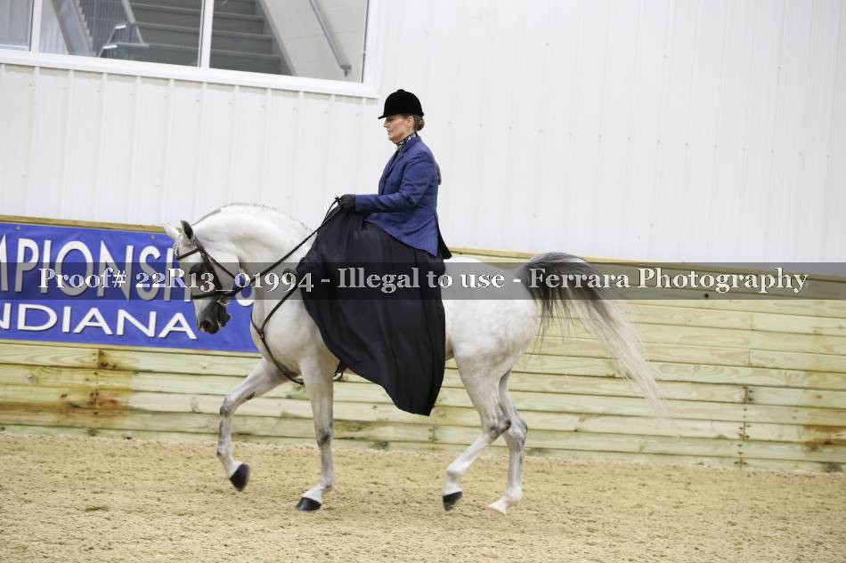 Proof 22R13_01994