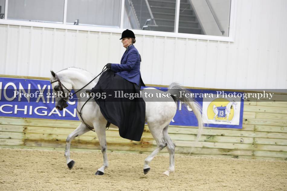 Proof 22R13_01995