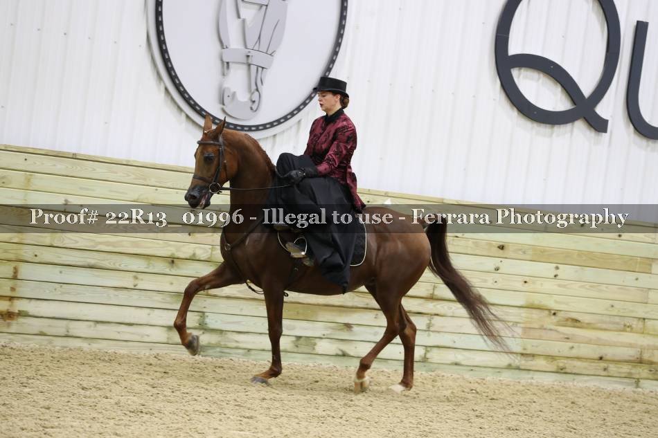 Proof 22R13_01996