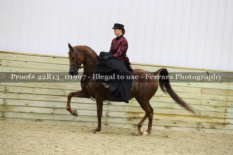 Proof 22R13_01997