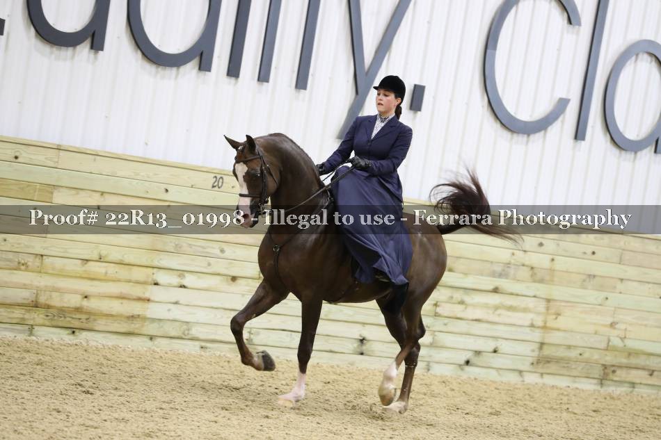 Proof 22R13_01998