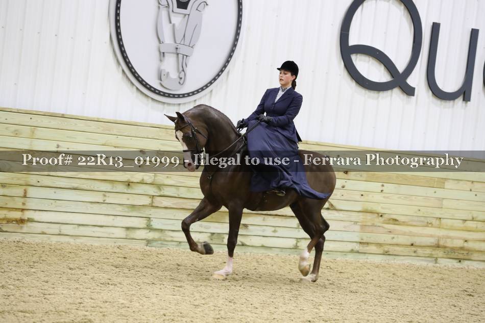 Proof 22R13_01999