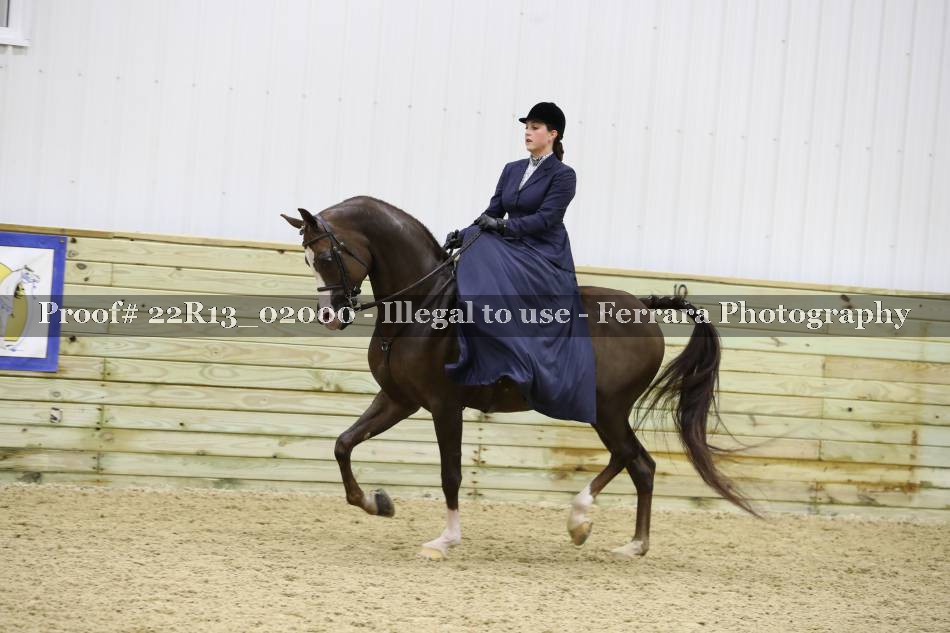 Proof 22R13_02000