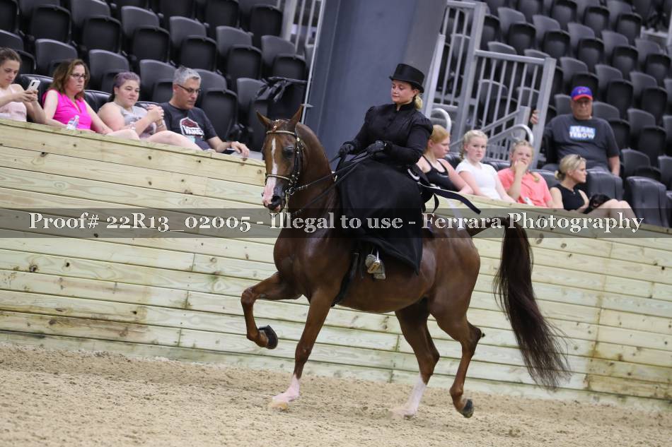 Proof 22R13_02005