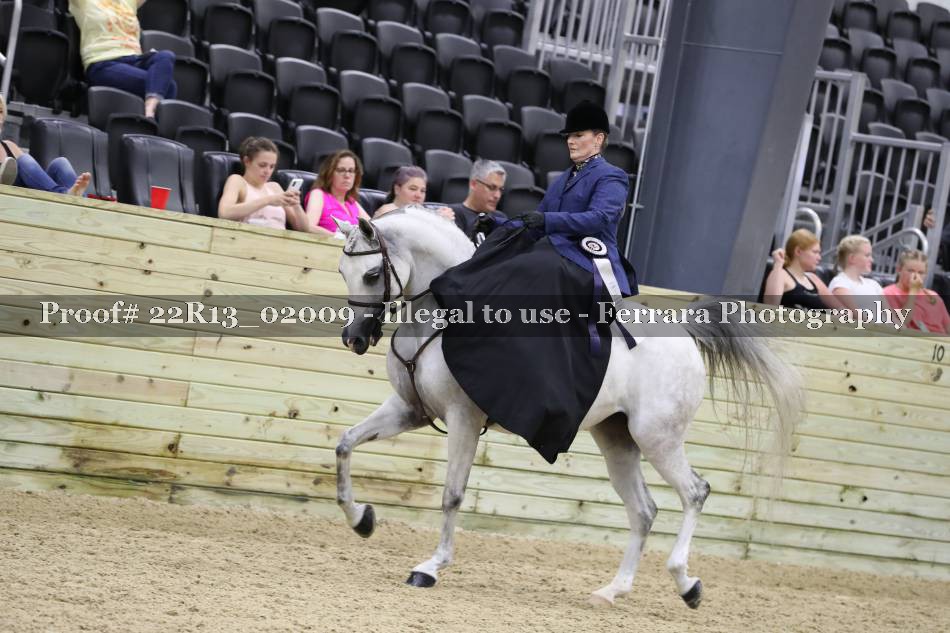 Proof 22R13_02009