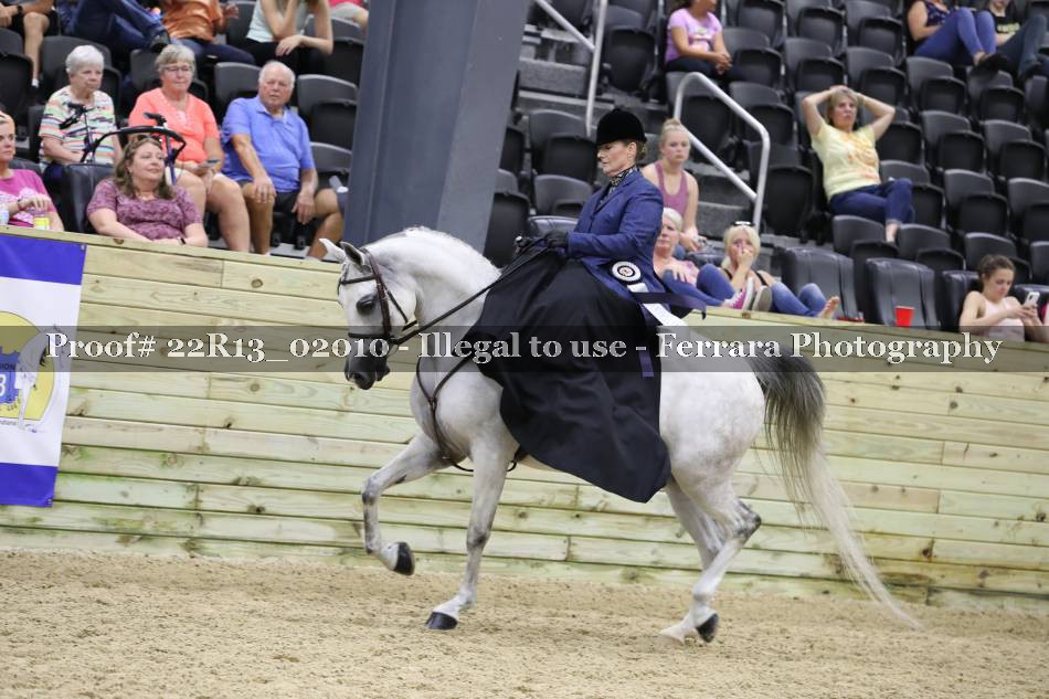Proof 22R13_02010