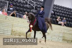 22R13_02013 proof