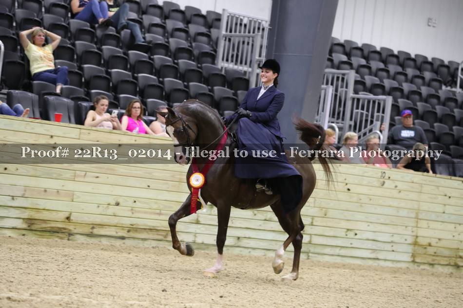 Proof 22R13_02014