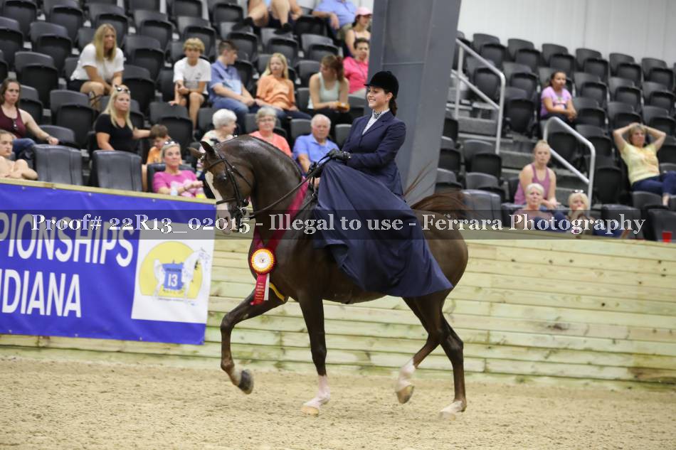 Proof 22R13_02015