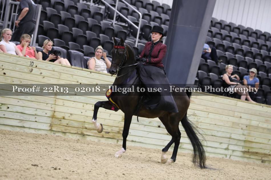 Proof 22R13_02018