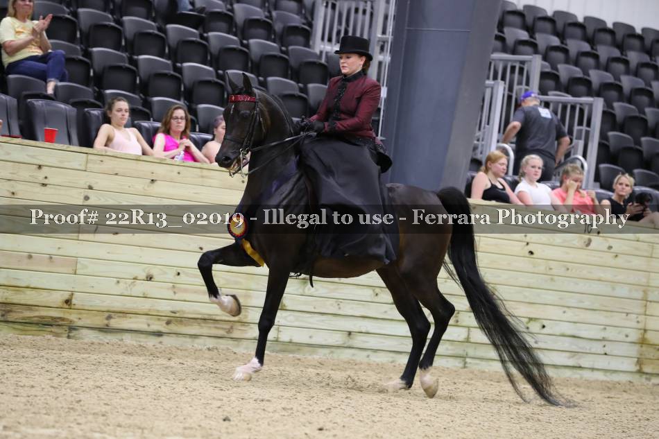 Proof 22R13_02019