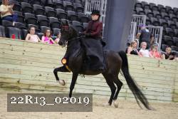 22R13_02019 proof