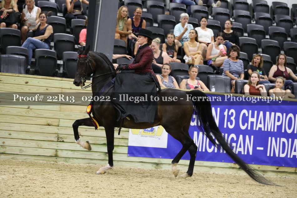 Proof 22R13_02022