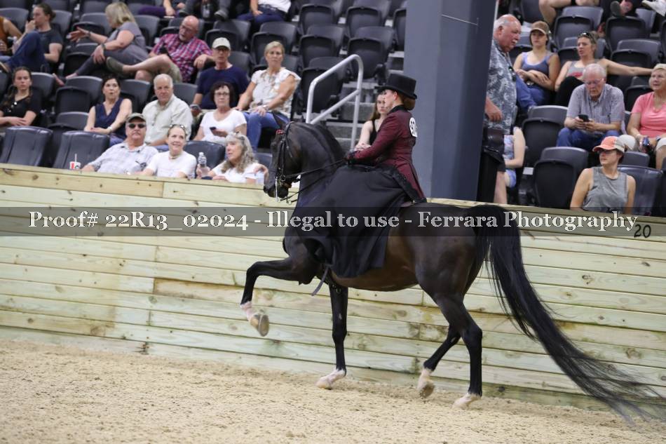 Proof 22R13_02024