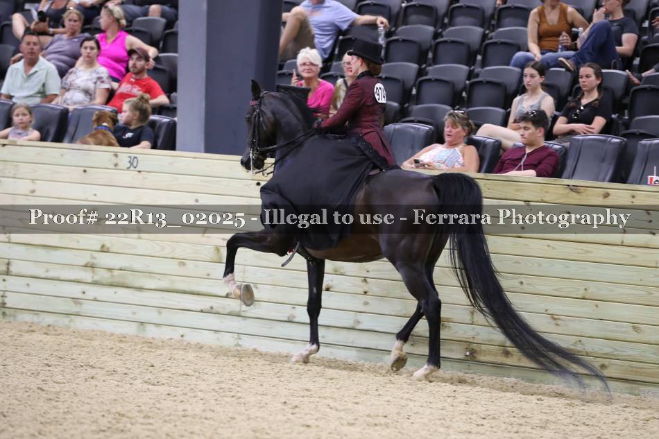 Proof 22R13_02025