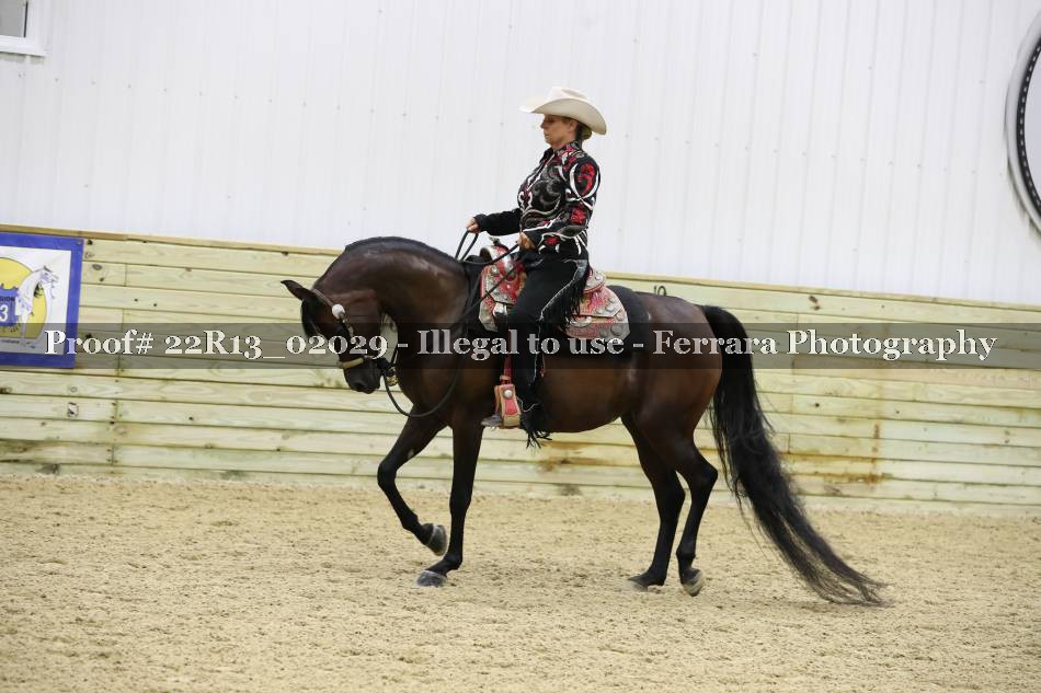 Proof 22R13_02029