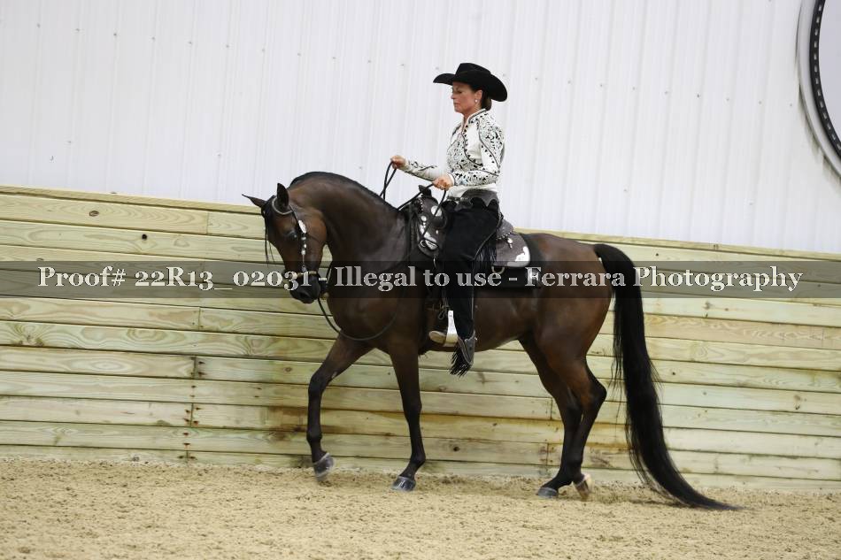 Proof 22R13_02031