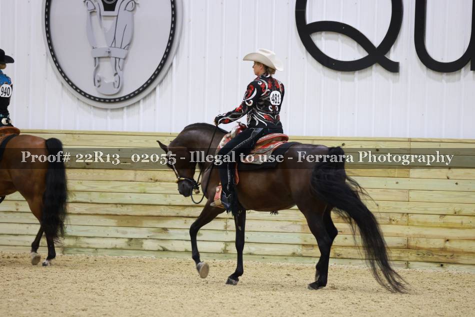 Proof 22R13_02055