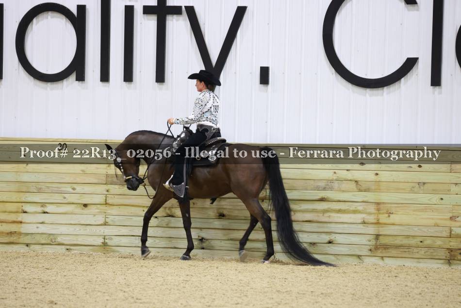 Proof 22R13_02056