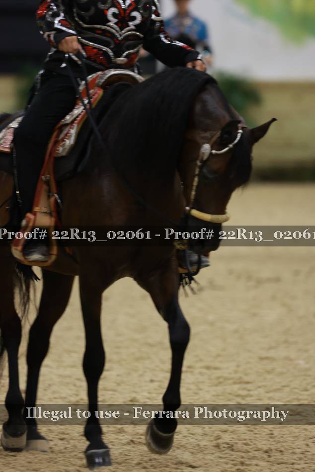 Proof 22R13_02061
