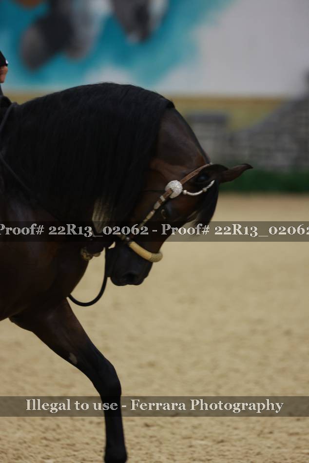 Proof 22R13_02062
