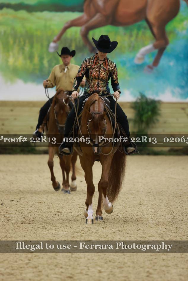 Proof 22R13_02065