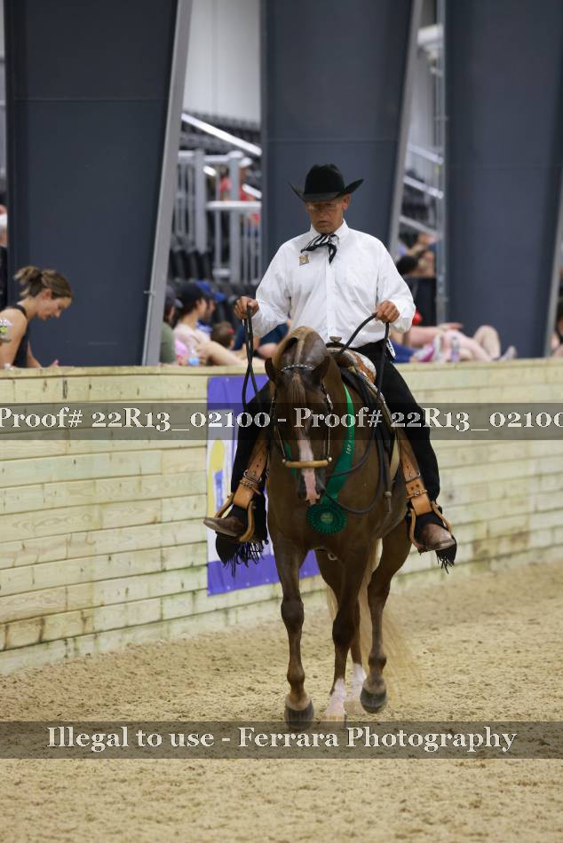 Proof 22R13_02100