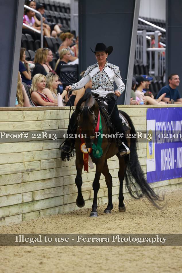 Proof 22R13_02101