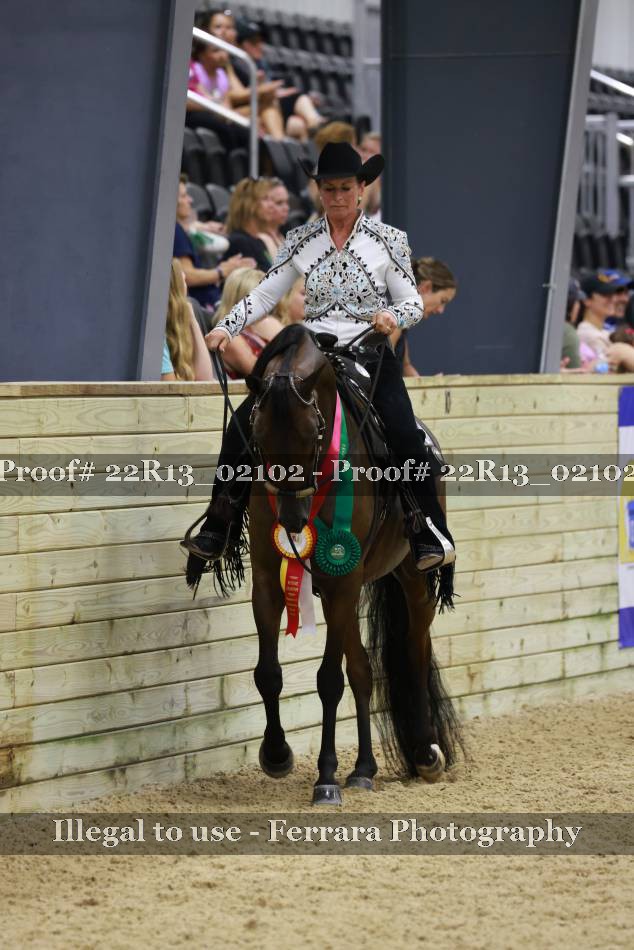 Proof 22R13_02102