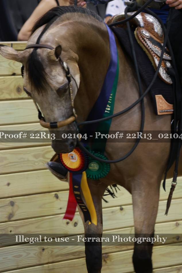 Proof 22R13_02104