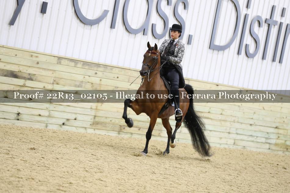Proof 22R13_02105