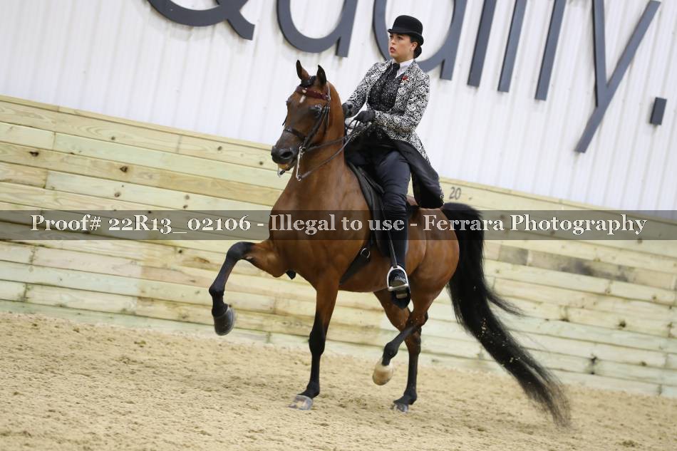 Proof 22R13_02106