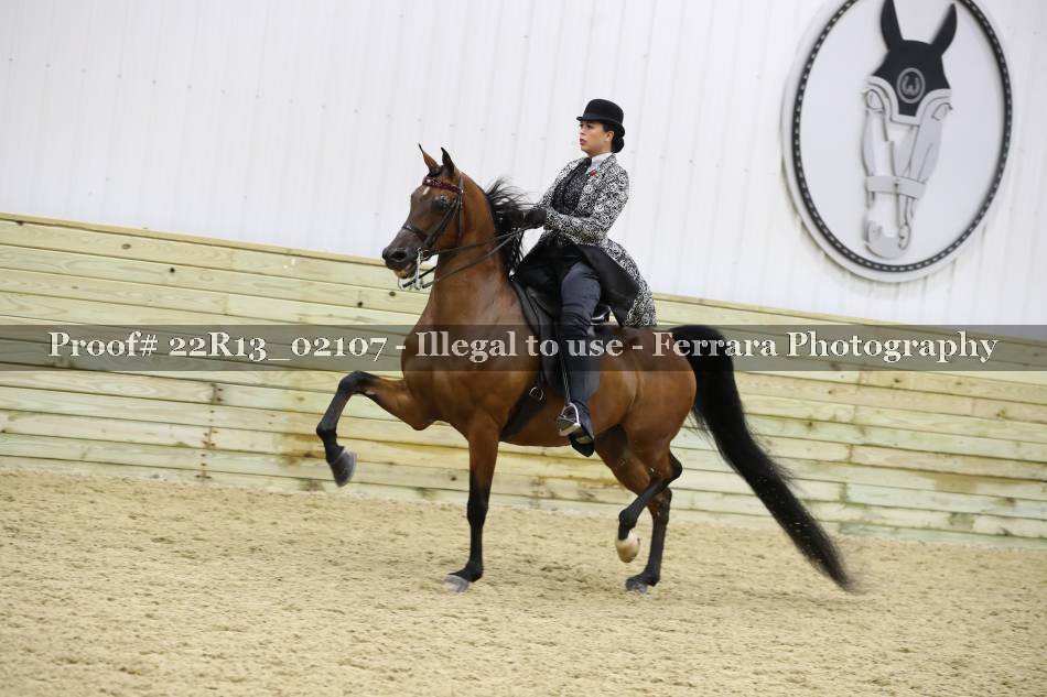 Proof 22R13_02107