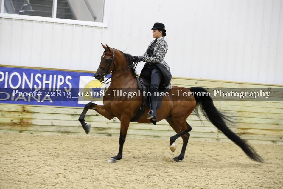 Proof 22R13_02108