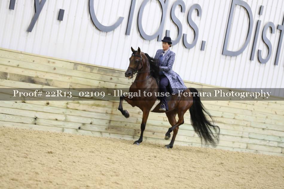 Proof 22R13_02109