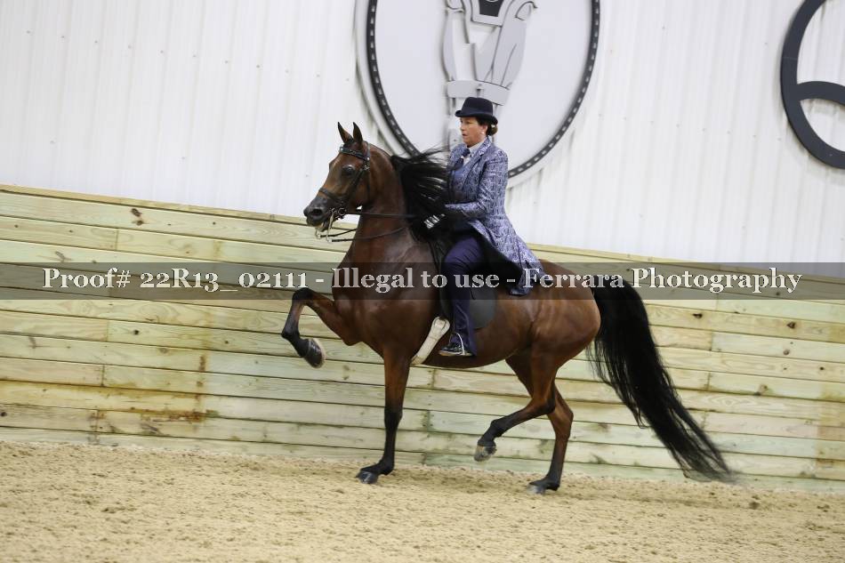 Proof 22R13_02111