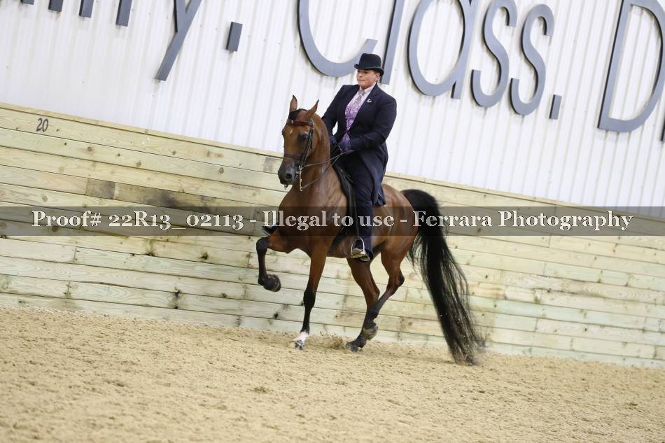 Proof 22R13_02113
