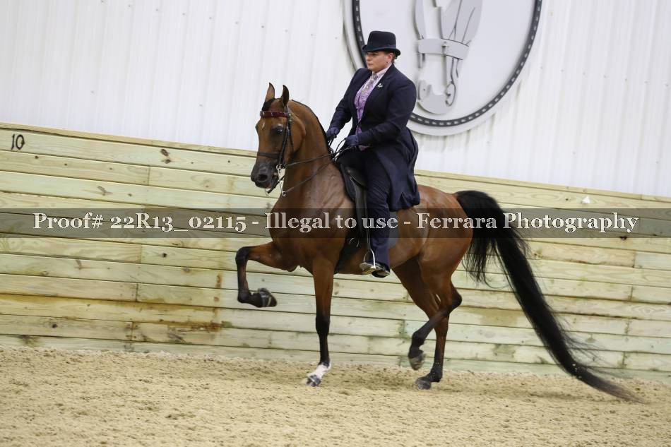 Proof 22R13_02115