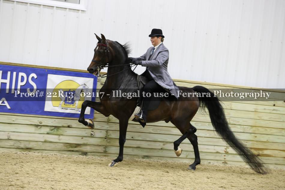 Proof 22R13_02117